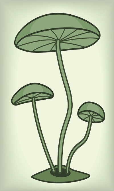 真菌