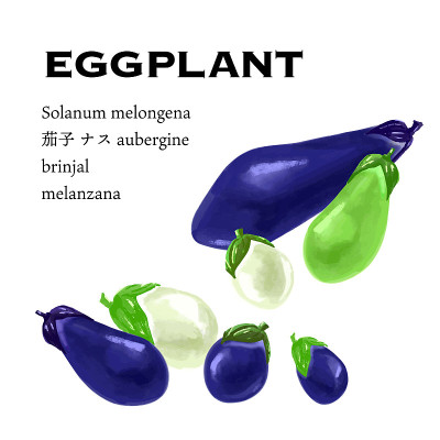 茄子变异集矢量图