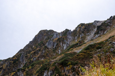 香槟马戏团的洛奇terrain