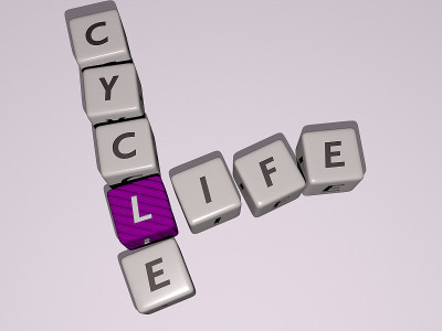 LIFE CYCLE的填字游戏由立方体字母排列在镜面地板上，概念含义和呈现。背景和插图。三维演示