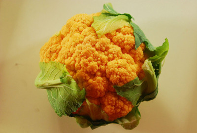 橙色的菜花