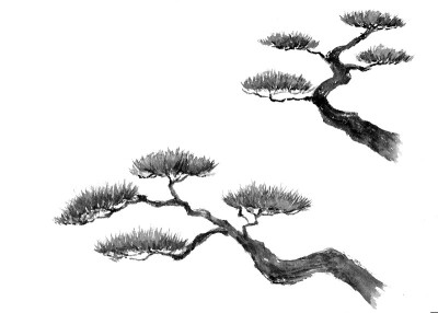 水墨画松树插图。