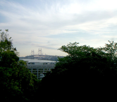 横滨