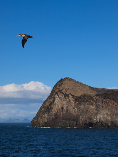 Vestmannaeyjar(韦斯特曼岛屿),冰岛