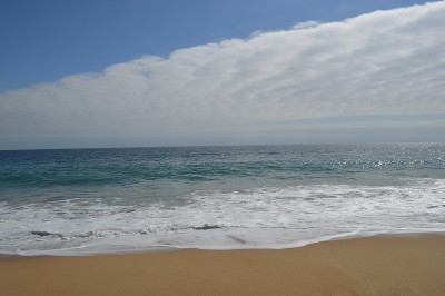 智利的Vina del Mar。