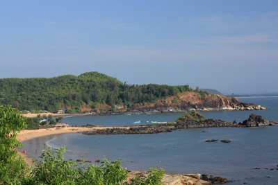 热带景观