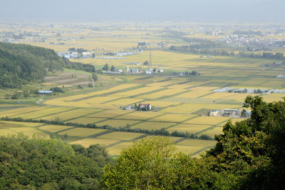 农村