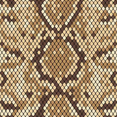 Snakeskin seamless pattern. Realistic texture of s