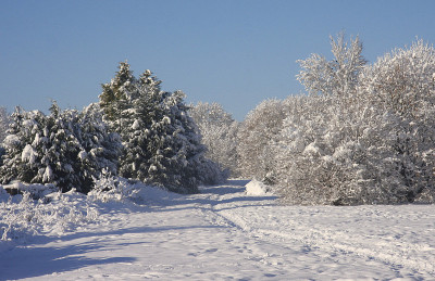 冬季雪景卡迪夫，南威尔士，英国
