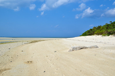 热带海滩的观点