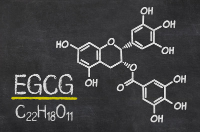 黑板上有EGCG的化学式