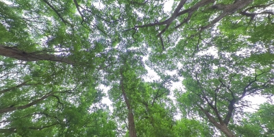 世界遗产地庆州历史遗址