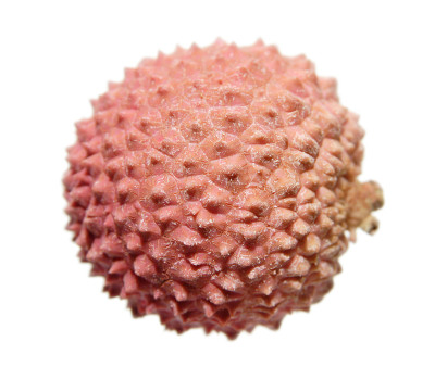 荔枝