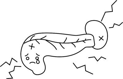 插图一个可爱的胰腺和脾脏轮廓