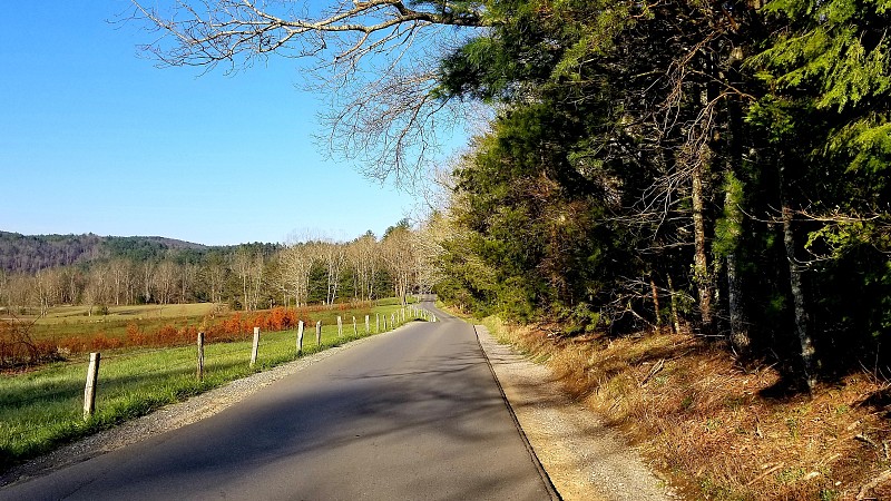 乡村道路和围栏3