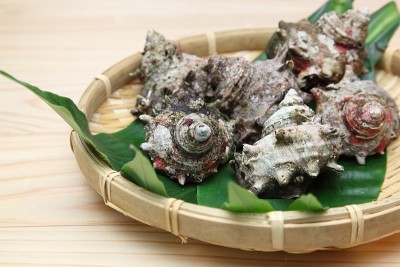 竹滤锅上的带角头巾