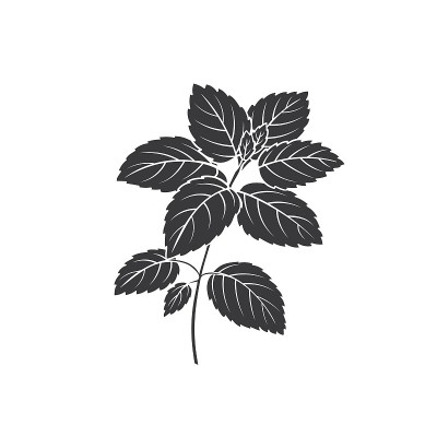 Lemon balm bunch glyph icon