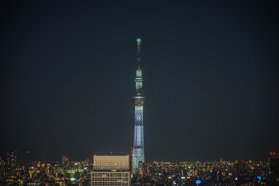 天空树可见