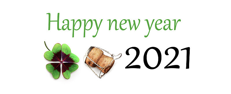新年快乐。从2021年开始