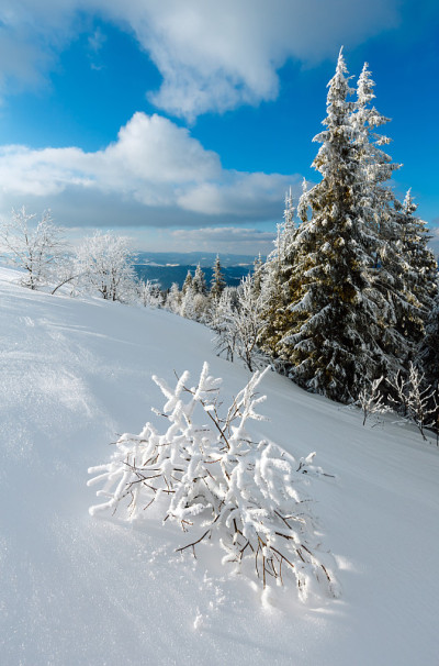 冬季山地雪景