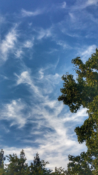纤细的天空