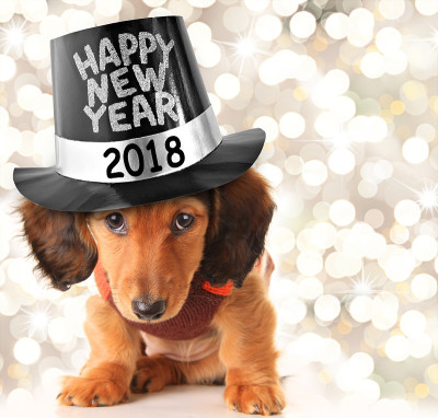 2018年小狗新年快乐