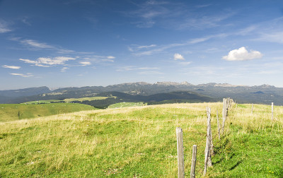 山全景