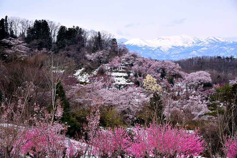 哈纳米山