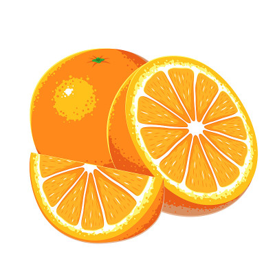 橙色水果矢量