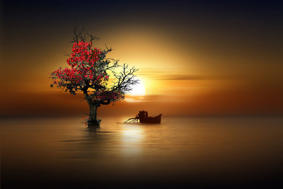 夕阳的光芒