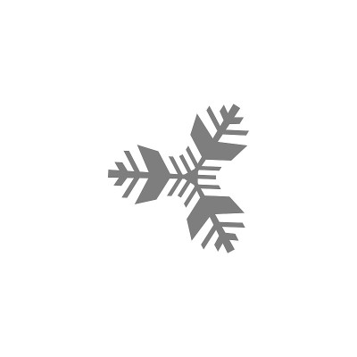雪花图标矢量孤立。黑色和白色