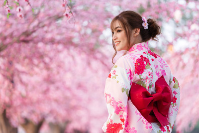 穿着和服的女人看起来像花园里盛开的樱花或樱花