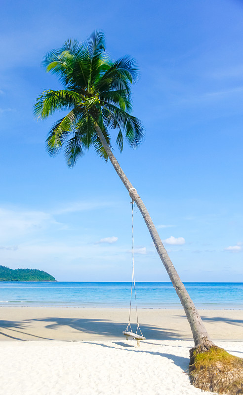 梦想的场景。白色沙滩上美丽的棕榈树。夏天自然的观点。