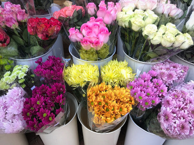 香港孟角花市场街头摄影