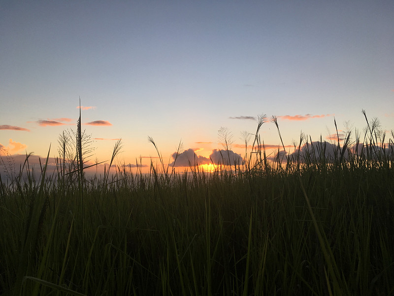 夏威夷考艾岛上凯卡哈附近的威美亚峡谷——地平线上的尼豪岛。