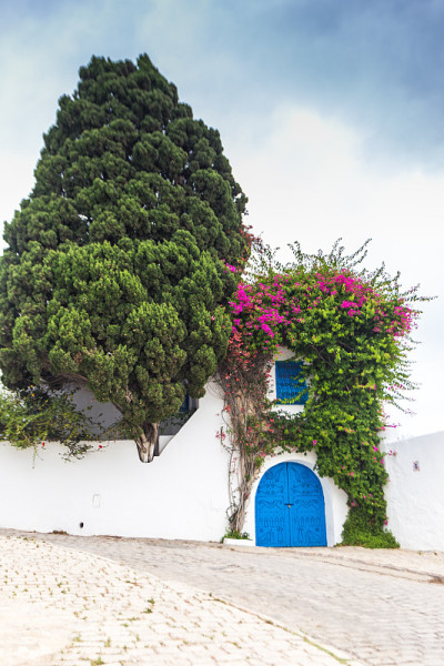 Sidi Bou Said，突尼斯