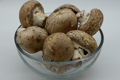 新鲜奶油蘑菇内的玻璃碗