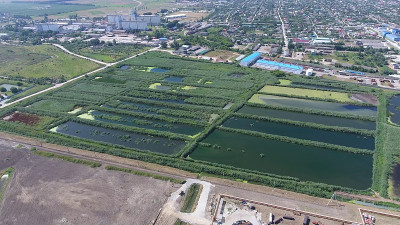 库班河畔斯拉维扬斯克的污水处理厂。用于小城市污水处理的水。岸边明亮的芦苇。