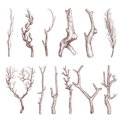 素描木枝，折枝矢量集