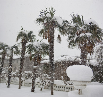 公园里下雪了