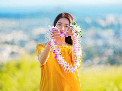 问候夏威夷花白雷