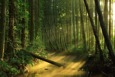 山形县夏河