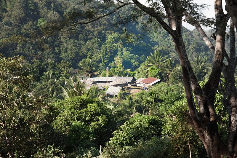 泰国山林部落村庄