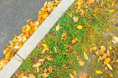 近看路与黄色的秋叶。道路季节性清洁概念