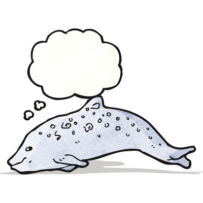 卡通海豚