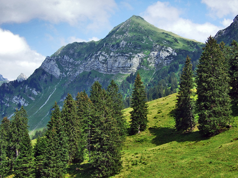 阿尔卑斯山景观Lütisalp地区-瑞士圣加仑州