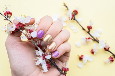 女性手用金色和紫色指甲设计握着樱花枝。