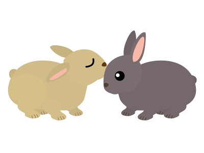 两只兔子的插图