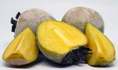 柿子或kesemek