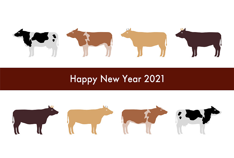 2020年贺年卡。牛年。牛的矢量插图。牛,牛,牛。